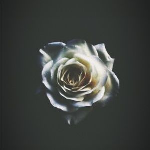 Meet your Posher, Mayra